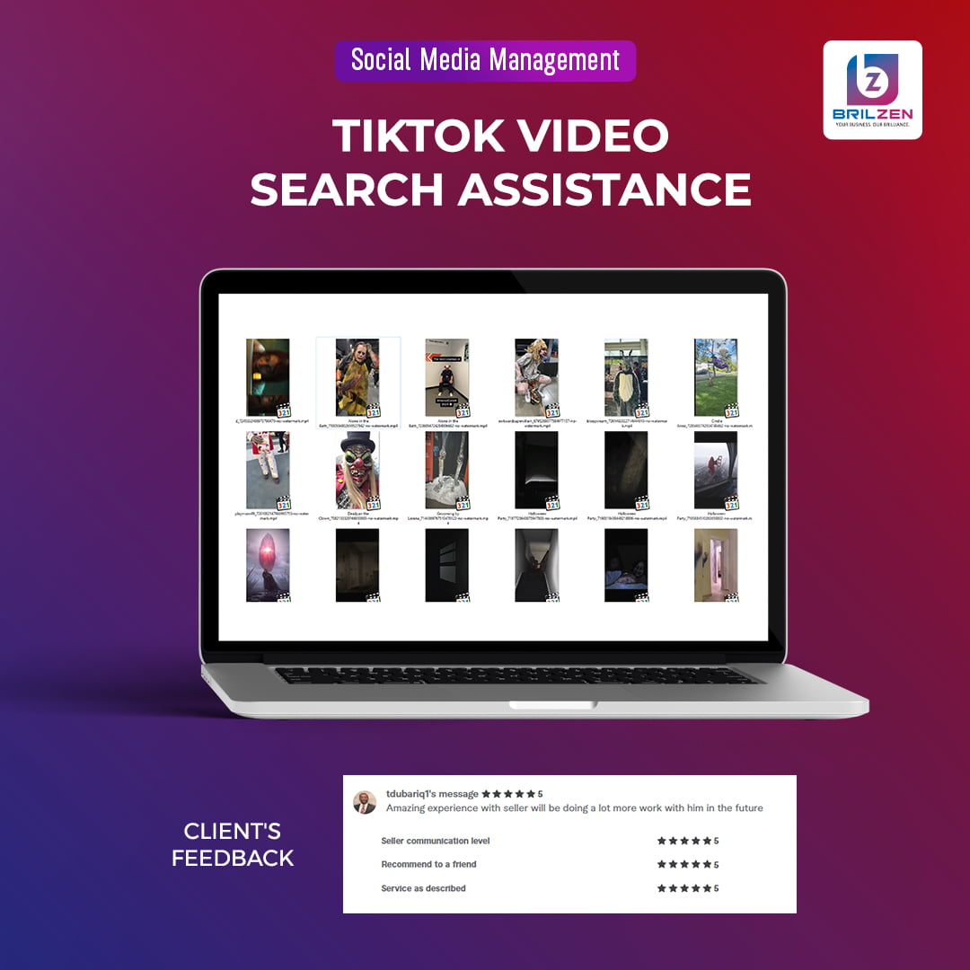 TikTok Video Search Assistance