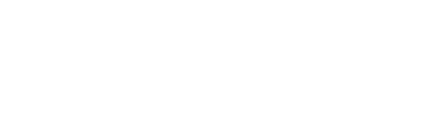 Brilzen white logo